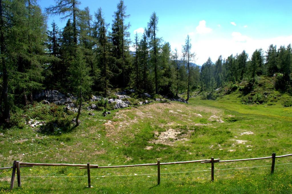 Laerchenhuette Apartman Tauplitzalm Szoba fotó