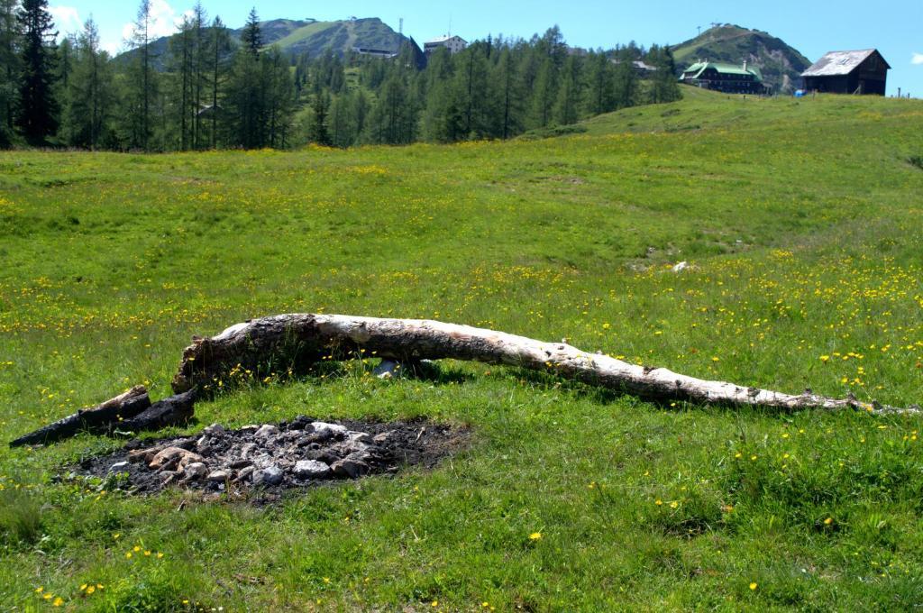 Laerchenhuette Apartman Tauplitzalm Kültér fotó